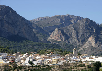 image5